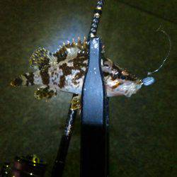 風が吹いたり止んだり